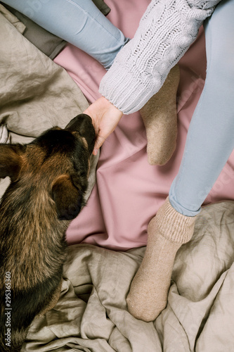 Cozy autumn or winter flatlay of woman petting her dog in bed  selective focus