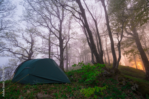 Mountain summer. Fairy misty forest, sunset