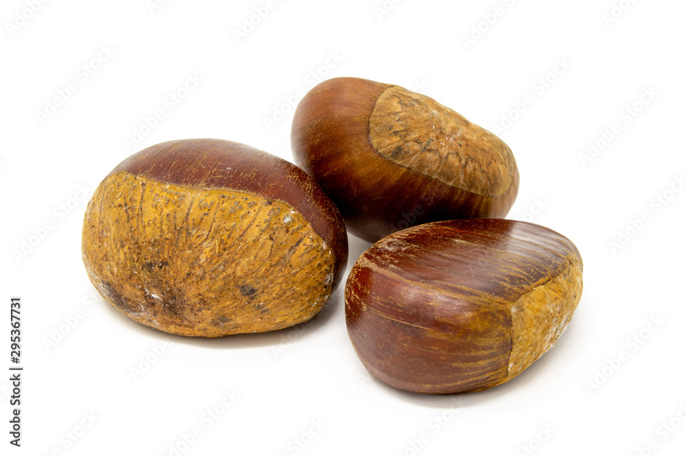 chestnuts on a white background macro photography chestnuts on a white background macro photography