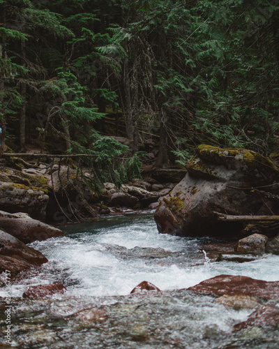 Beautiful river in the forest
