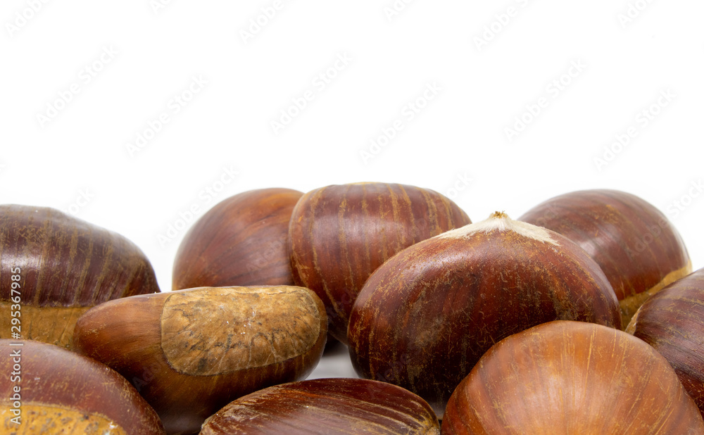 chestnuts on a white background macro photography chestnuts on a white background macro photography