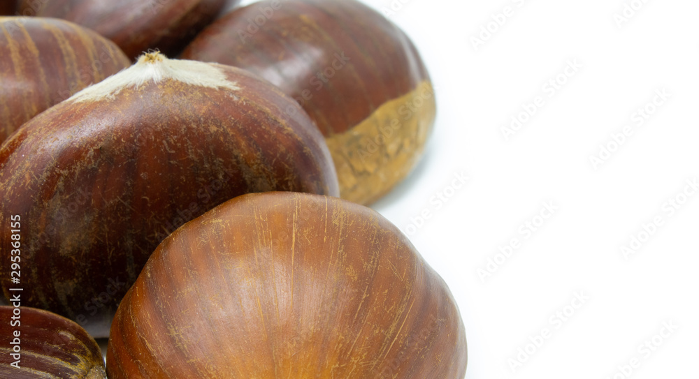 chestnuts on a white background macro photography chestnuts on a white background macro photography