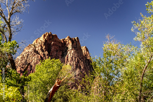 Beautiful view of famous Spring Mountain Ranch State Park near Las Vegas and Red Rock Canyon, Nevada during autumn with pink and red rock mountains, blue sky, green trees and grass, and purple hills