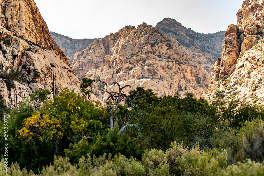Beautiful view of famous Spring Mountain Ranch State Park near Las Vegas and Red Rock Canyon, Nevada during autumn with pink and red rock mountains, blue sky, green trees and grass, and purple hills