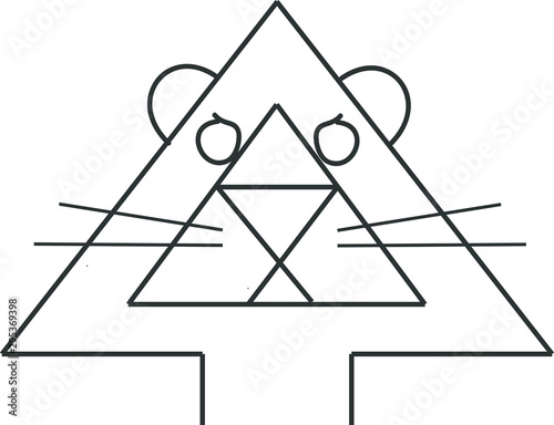 Lion  head vector