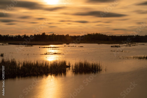 Golden Sunset over Houghton Lake Marsh Habitat 