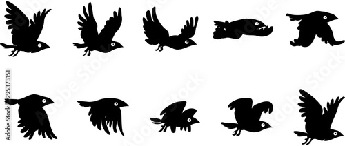 Flying bird sequence