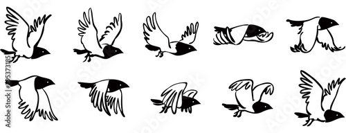 Flying bird sequence