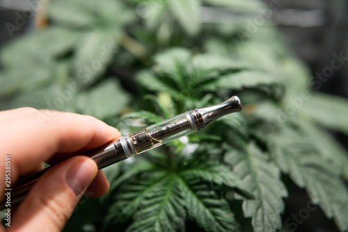 CBD vape oils . simple electronic device. Weed Vape Pens for THC Oil . cannabis concentrates or CBD vape juice.