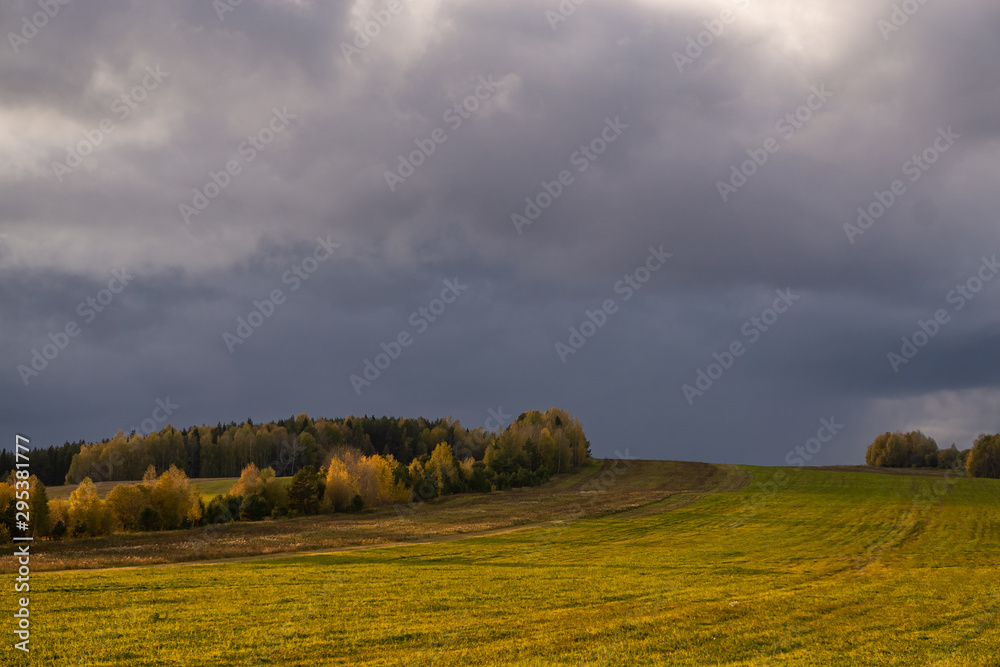 Obraz premium Green field and cloudy sky, autumn trees