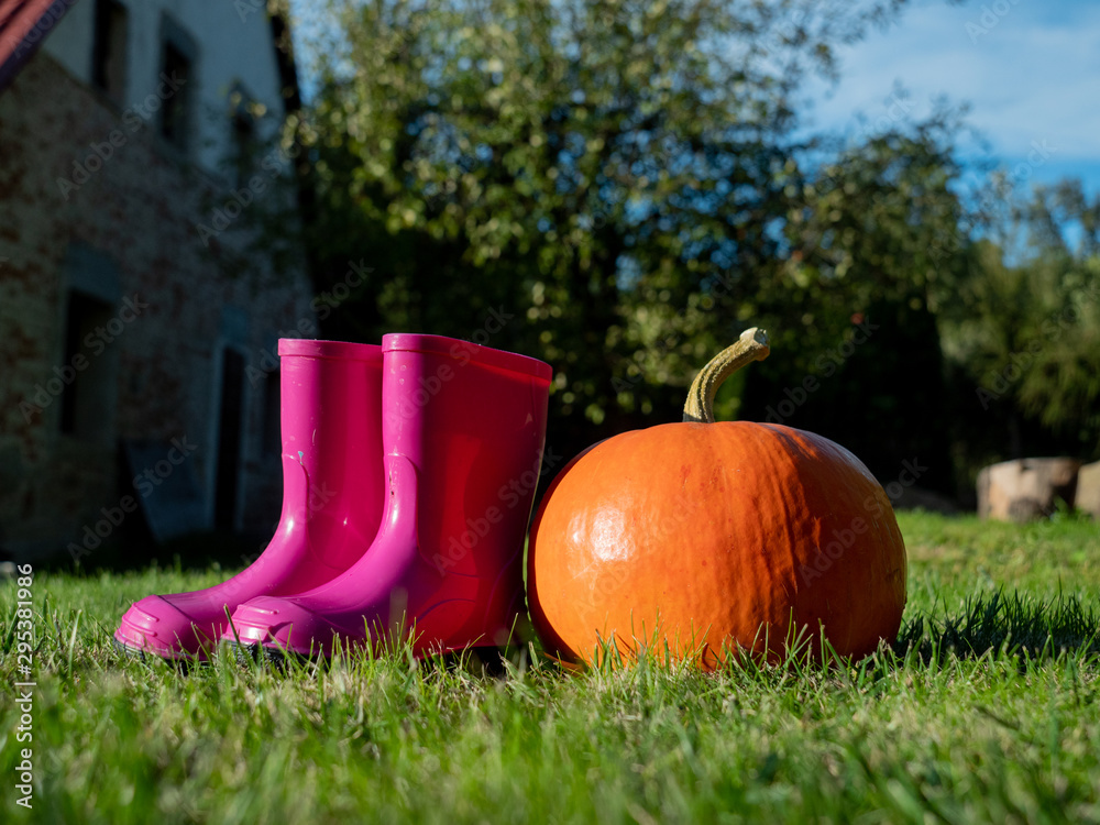 Pumpkin and rubber boots on a grass on yard in october Pumpkin and rubber boots on a grass on yard in october