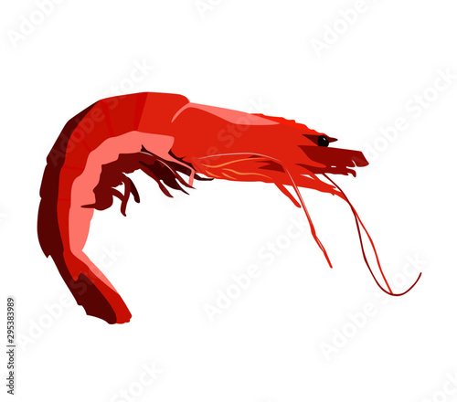 caridea realistic vector illustration isolated