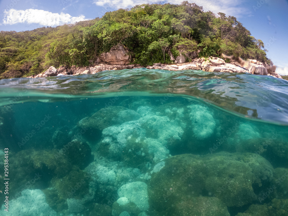 adventures in the Coral Reef of Playa La Entrega in Huatulco Mexico