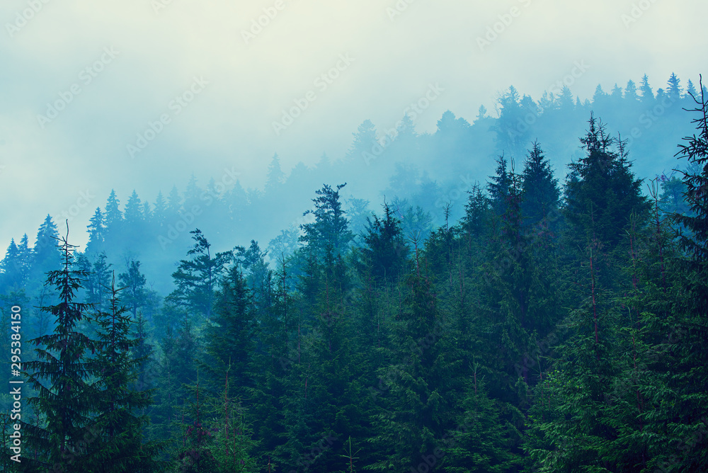 Naklejka premium Misty mountain landscape