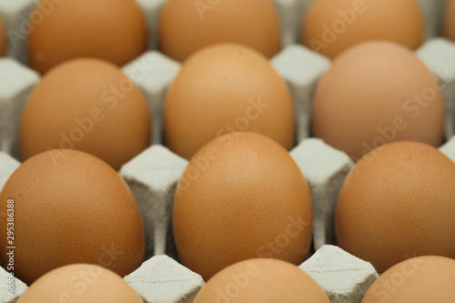 Egg, Chicken Egg in tray,closeup of fresh chicken eggs