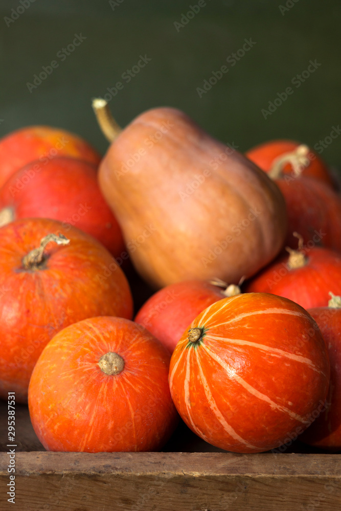Obraz premium A lot of red ripe pumpkins on a old wooden green background close up, holiday halloween. Pile of ripe pumpkins. Harvest autumn wallpaper