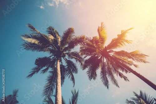 Coconut tree on blue sky. vintage filter