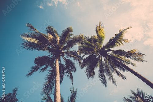 Coconut tree on blue sky. vintage filter © pushish images