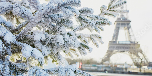 Photography Christmas tree covered with snow near Eiffel tower