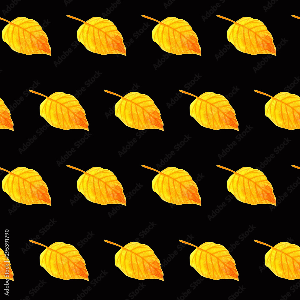 Obraz premium Watercolor simple pattern with a dark background. Hand drawn watercolour autumn yellow and orange birch leaf repeated on black