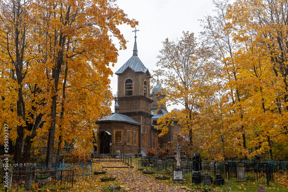 Novorzhev, Pskov region, Wooden church of the Nativity in the rain