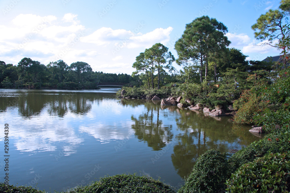 pond view