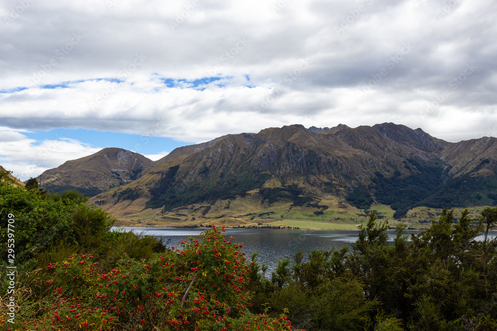 view of lake Wanaka, south island, New Zealand