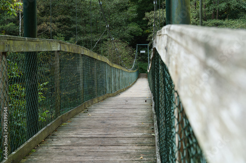 Small suspension brigde with wooden surface, all in green