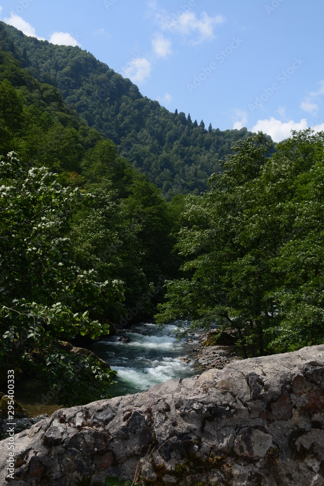 river in the mountains river in the mountains