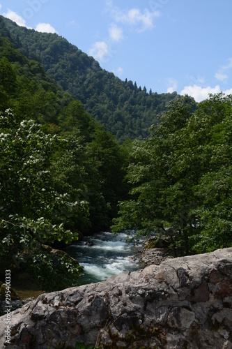 river in the mountains © YAHOES