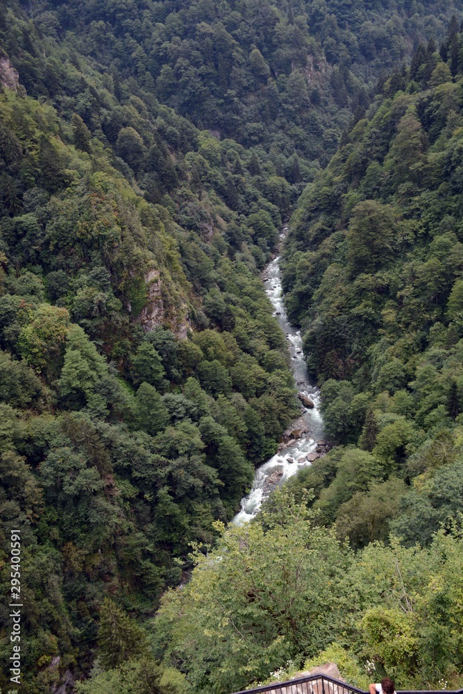 waterfall in forest