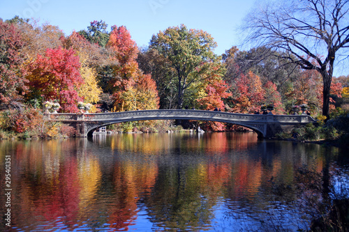 The bridge in the foliage park © willeye