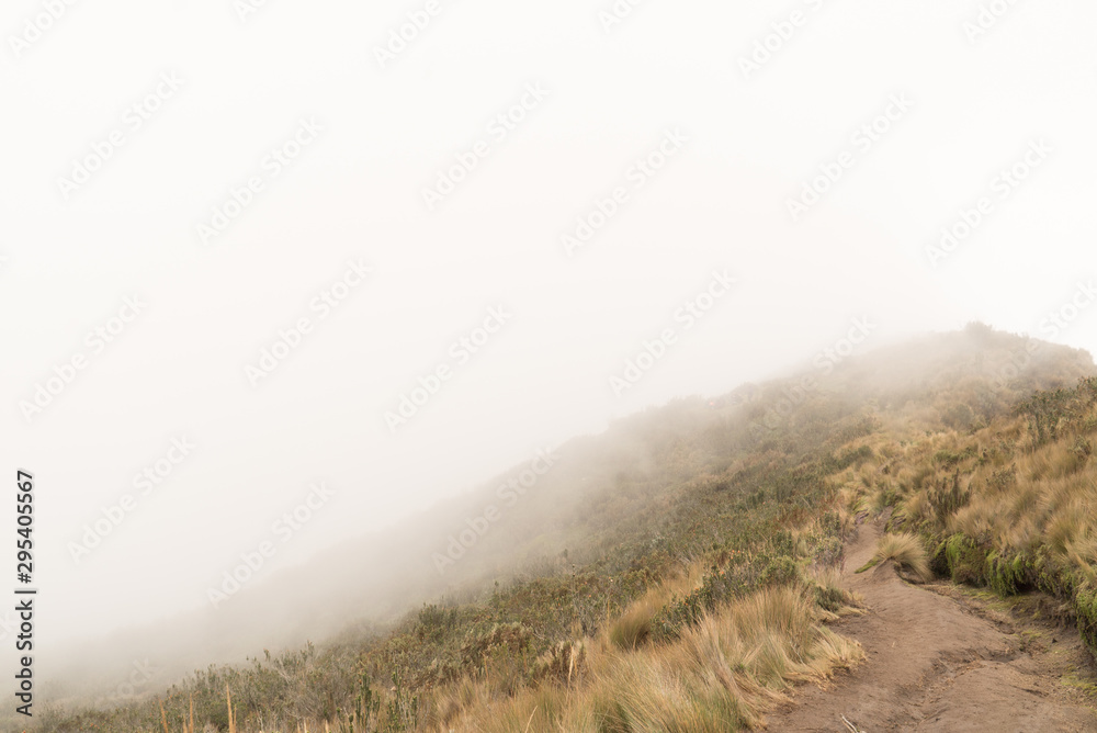 a single person wide muddy walking trail that sits high up in the andes mountains. the mist or fog is actually a passing cloud, moving over the ridge a single person wide muddy walking trail that sits high up in the andes mountains. the mist or fog is actually a passing cloud, moving over the ridge