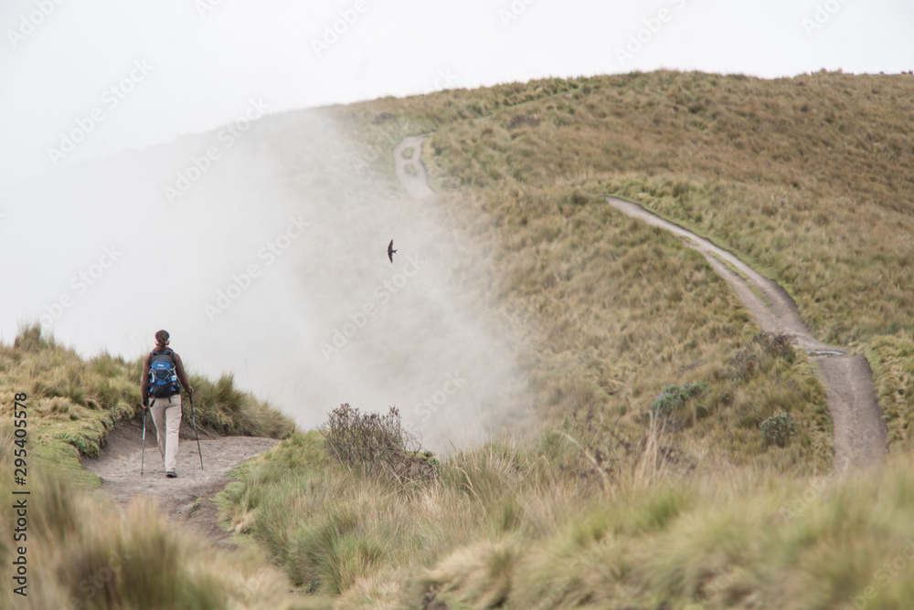 Solo active female adventurer in a jacket baseball cap and backpack on a high altitude hiking trail and a soaring bird flying through the cloud mist overhead Solo active female adventurer in a jacket baseball cap and backpack on a high altitude hiking trail and a soaring bird flying through the cloud mist overhead