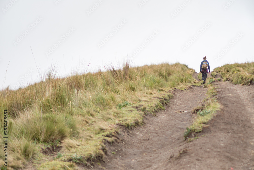 Female solo high altitude sporty hiker with a light windbreaker jacket and backpack walks alone on a double wide nature wilderness trail Female solo high altitude sporty hiker with a light windbreaker jacket and backpack walks alone on a double wide nature wilderness trail