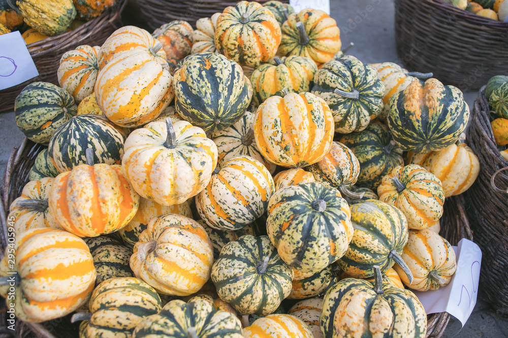group of winter squash vegetable