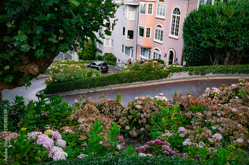 Lombard Street San Francisco City Life