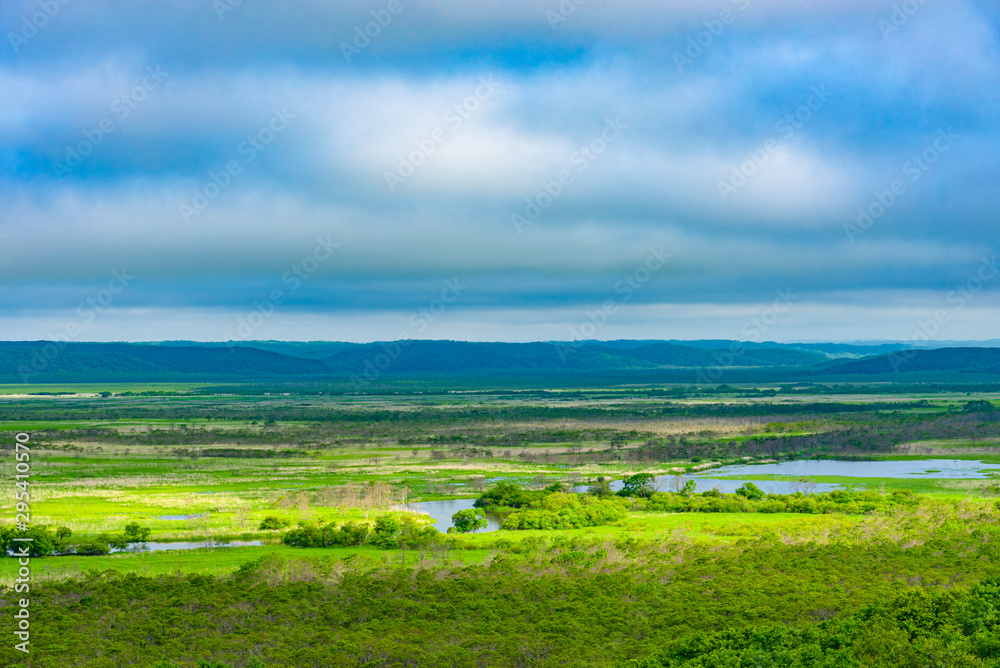 Fototapeta premium Kushiro Shitsugen national park in Hokkaido in summer day, view from Hosooka observation deck, the largest wetland in Japan. The park is known for its wetlands ecosystems