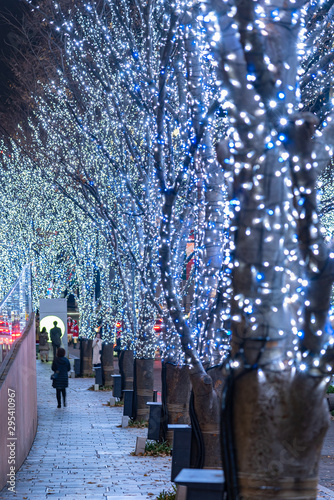 Roppongi Hills winter illumination festival ( Keyakizaka Galaxy Illuminations ), beautiful view, popular tourist attractions, travel destinations for holiday, famous events in Tokyo city, Japan photo