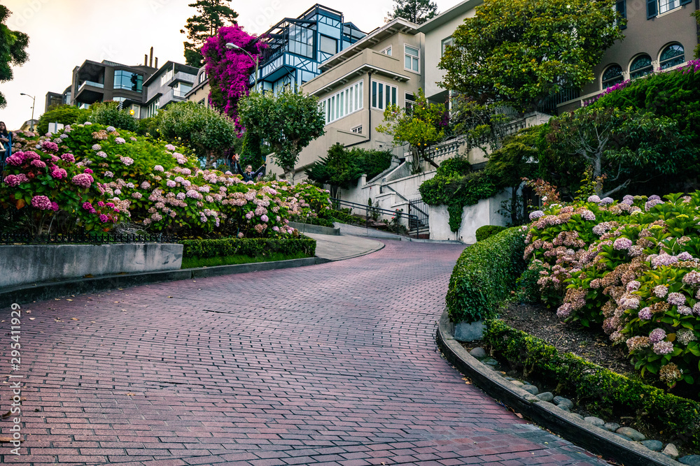 Lombard Street San Francisco City Life
