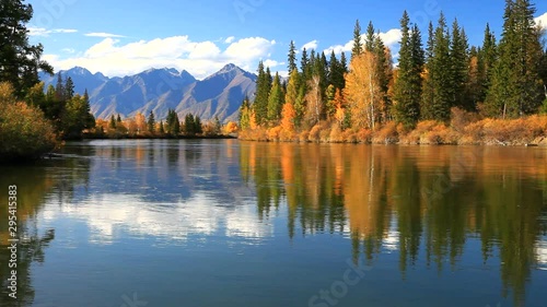Yellow leaves float in blue water of calm river with a reflection of an yellowed forest. The mountain range of the Eastern Sayan in the distance. Beautiful autumn Siberian landscape photo