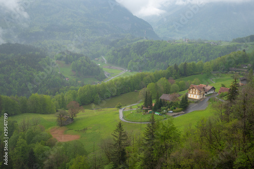 Beautiful panorama view of fresh green trees and wooden houses in rural area of Switzerland look from top of mountain for background and copy space