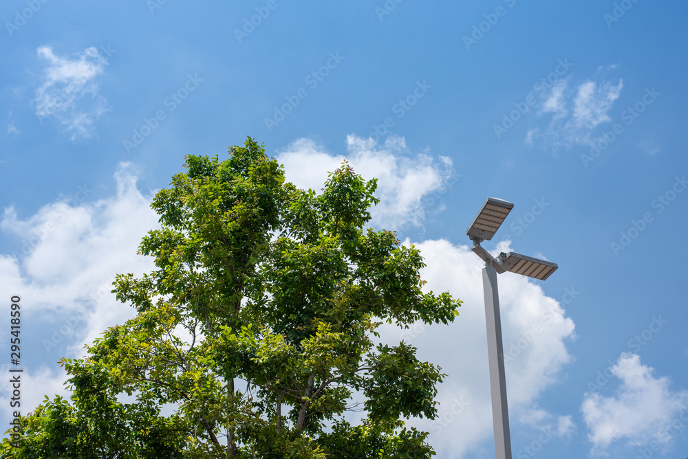 Electric poles and green trees have a blue sky backdrop Electric poles and green trees have a blue sky backdrop