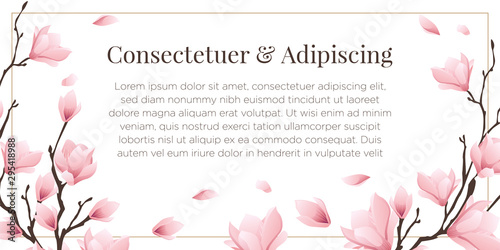 Magnolia Flower Background