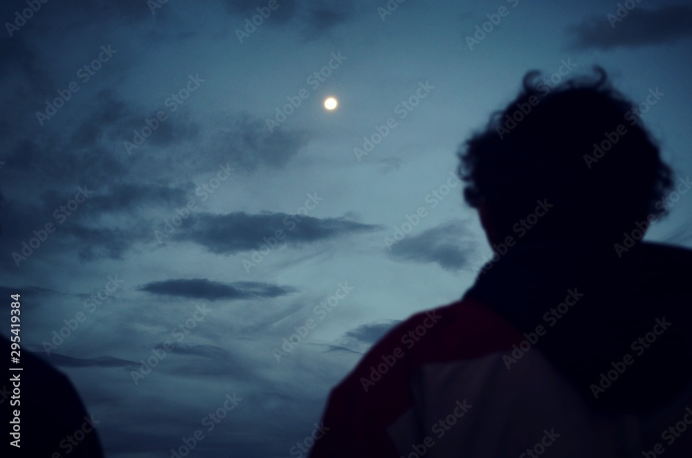 Obraz premium moon