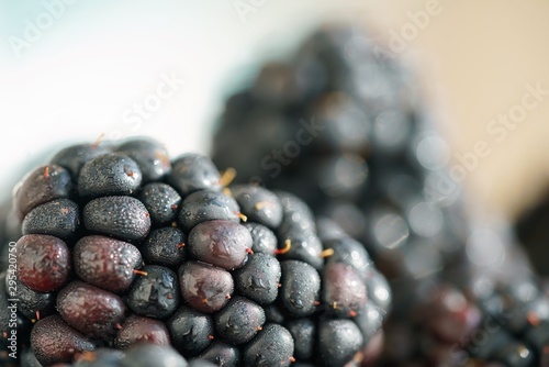 fresh blackberries on blurred background