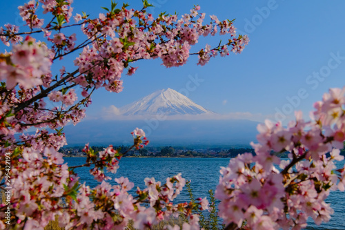 Lake Kawaguchiko, where Mt. Fuji and cherry blossoms bloom, is a typical landscape of spring in Japan. photo