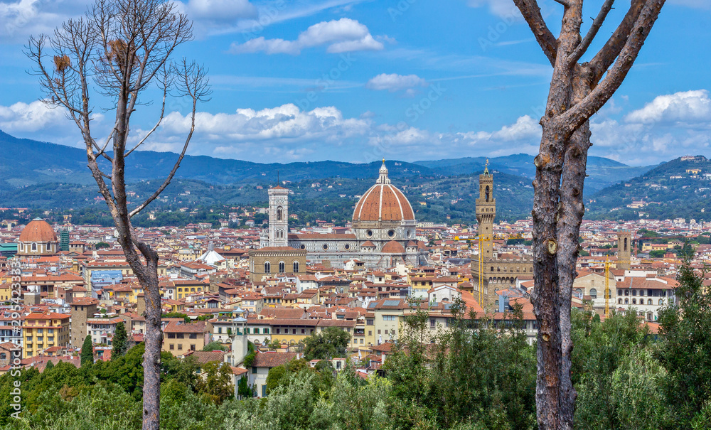 Fototapeta premium Florencja Firenze