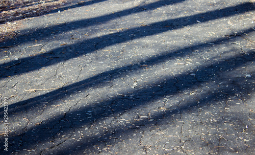 Shadows of trees on a pedestrian road.