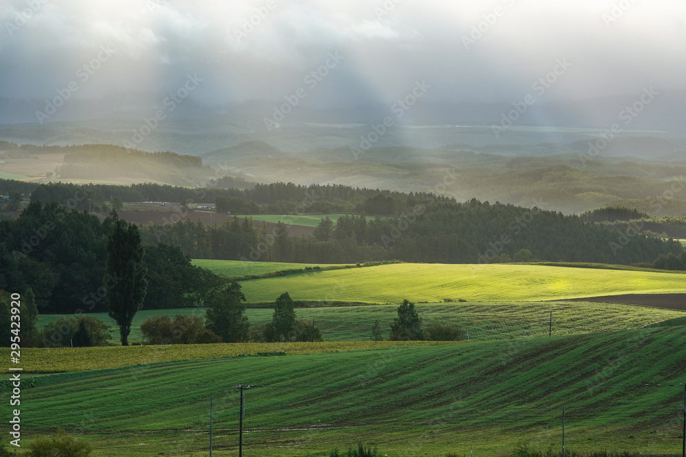 Fototapeta 北海道美瑛　雨上がりの光芒のある風景
